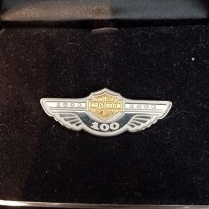 100th anniversary pin